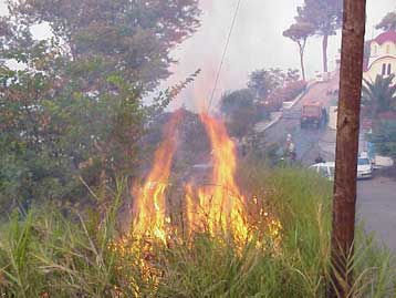 Πέντε μέτωπα φωτιάς μαίνονται στο νομό Ηλείας