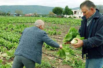 Ποσό 73,43 εκατ. ευρώ επιστρέφει η Ελλάδα από αγροτικές επιδοτήσεις
