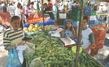 Είσοδο στο λιανικό εμπόριο επιδιώκουν οι χονδρέμποροι της κεντρικής αγοράς του Ρέντη