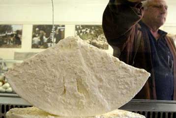 Ευθύνες αμέλειας και όχι παραπλάνησης των καταναλωτών παραδέχεται η Κολιός