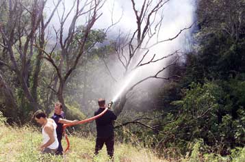 Για κίνδυνο πυρκαγιών προειδοποιεί η ΓΓ Πολιτικής Προστασίας