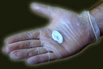 Καλλιτέχνης θα εμφυτεύσει στο χέρι του ένα… αφτί