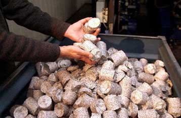 Πρόγραμμα ανακύκλωσης θα εφαρμοστεί σε 40 δήμους της χώρας από τον Οκτώβριο