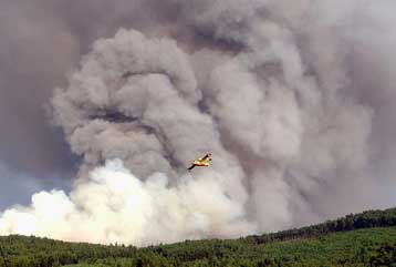 Ακόμα δύο νεκροί από τις πυρκαγιές στην Πορτογαλία – Συνεχίζεται ο καύσωνας στην Ευρώπη