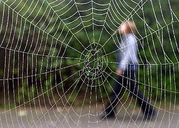 Ερευνητής ανακαλύπτει μετάξι αράχνης 130 εκατομμυρίων ετών