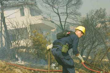 Έργο εμπρηστών οι πυρκαγιές στην Ηλεία – Υπό πλήρη έλεγχο όλα τα πύρινα μέτωπα