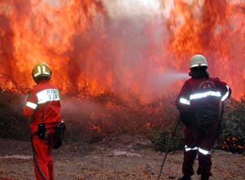 Πυρκαγιές μαίνονται σε Ιταλία, Πορτογαλία – Καύσωνας με θύματα σε Ισπανία, Γερμανία