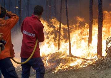 Στους 100 οι νεκροί από τον καύσωνα στη Γαλλία – Μαίνονται οι πυρκαγιές στην Πορτογαλία