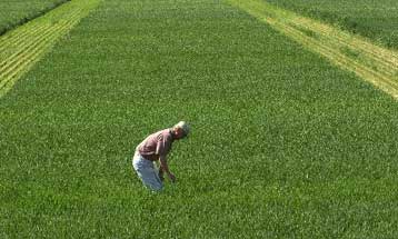 Συμβιβασμός ΕΕ-ΗΠΑ για κοινή θέση κατά τις διαπραγματεύσεις στον ΠΟΕ για τα αγροτικά