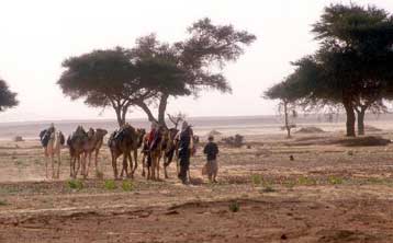 Εντός της ημέρας αναμένεται τελικώς η απελευθέρωση των 14 τουριστών στο Μαλί