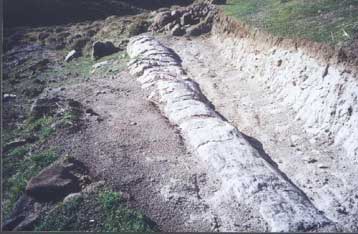 Έκθεση με σπάνιους γεωλογικούς θησαυρούς στο Σίγρι της Λέσβου