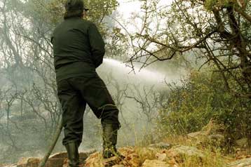 Υπό έλεγχο τέθηκε η πυρκαγιά στο Καρλόβασι της Σάμου