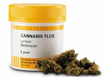 Νόμιμη η διάθεση της κάνναβης από φαρμακεία και νοσοκομεία στην Ολλανδία