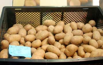 Στα είδη με ελεγχόμενο κέρδος εντάσσεται η πατάτα