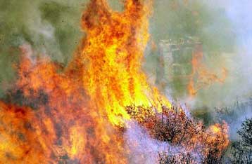 Σε εξέλιξη μεγάλη πυρκαγιά στο Χρυσοβίτσι Αρκαδίας