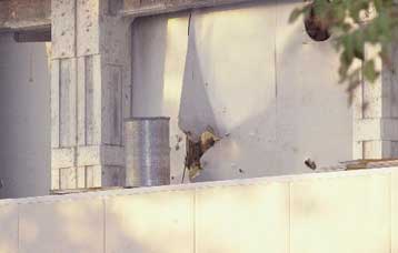 Εμπειρογνώμονες ερευνούν τα αίτια της φονικής έκρηξης στο Ρέντη