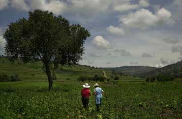 Κρίσιμη συνάντηση του ΠΟΕ στο Μεξικό για το μέλλον του παγκόσμιου εμπορίου