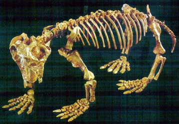 Η μαζική εξάλειψη ειδών πριν από 251 εκατ. χρόνια ίσως οφειλόταν σε έλλειψη οξυγόνου
