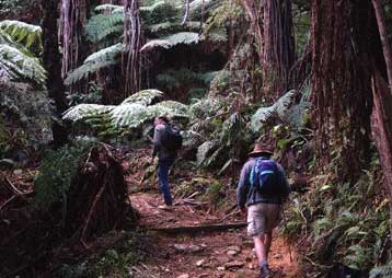 Έξι νέες προστατευόμενες περιοχές οριοθετούνται στην Αμαζονία