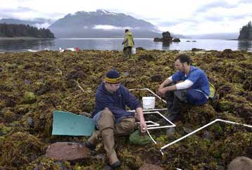 Ξεκίνησε το διεθνές πρόγραμμα Απογραφής της Θαλάσσιας Ζωής
