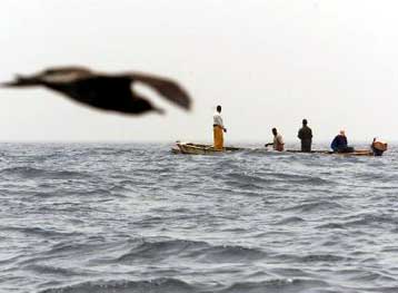 Δίκτυο θαλάσσιων πάρκων θα δημιουργηθεί έξω από τη δυτική Αφρική