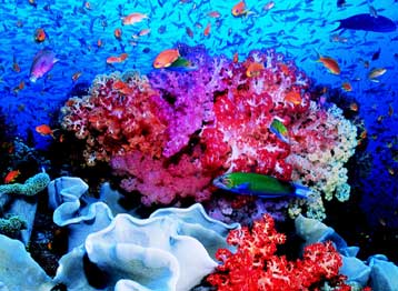 Η Συνθήκη του Ντέρμπαν θέτει δεκαετές πλάνο για την προστασία του Περιβάλλοντος