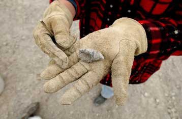 Τα χερσαία φυτά ίσως εμφανίστηκαν νωρίτερα από ό,τι πιστεύεται