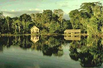 Εξελιγμένες κοινωνίες στην Αμαζονία πριν από την άφιξη του Κολόμβου