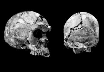 Το παλαιότερο απολίθωμα σύγχρονου ανθρώπου στην Ευρώπη εντοπίζεται στη Ρουμανία