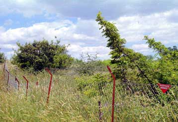 Τραγικό θάνατο βρήκαν επτά λαθρομετανάστες από το Ιράν στην περιοχή του Έβρου