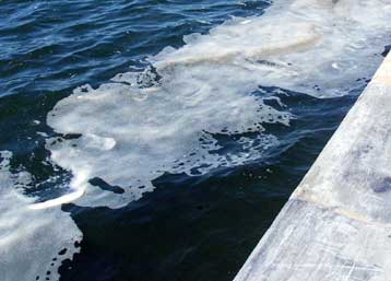 Φίλτρο για πλοία συλλαμβάνει τους μικροσκοπικούς αλλά επιζήμιους λαθρεπιβάτες