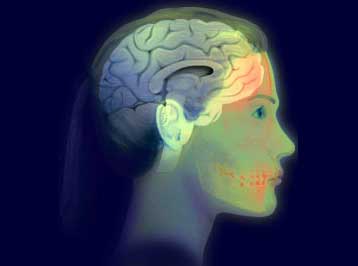 Τομογραφίες εγκεφάλου απεικονίζουν τον πόνο της απόρριψης