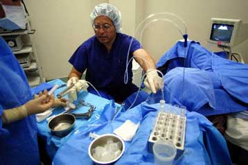 Πρώτη εγκυμοσύνη από τη μεταμόσχευση ιστού ωοθηκών σε πειραματόζωα