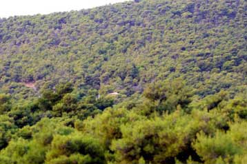 «Φρένο» στην οικοπεδοποίηση δασών βάζει το Συμβούλιο της Επικρατείας