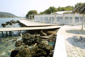 Ποινικές ευθύνες πίσω από την αναστολή κατεδάφισης αυθαιρέτων μελετά η Δικαιοσύνη