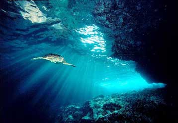 Φυσσαλίδες μεθανίου από τον πυθμένα θα μπορούσαν να βυθίσουν πλοία