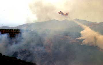 Υπό έλεγχο οι φωτιές στην Κρήτη – 2.000 στρέμματα κάηκαν στο Δήμο Μουσούρων