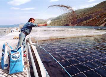 Οι υδατοκαλλιέργειες στην Ελλάδα ίσως επιβαρύνουν το περιβάλλον