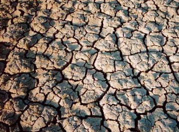 Η λειψυδρία σύντομα θα απειλεί την Αφρική με λιμό, προειδοποιεί διεθνής οργανισμός