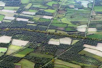 Τίτλους ιδιοκτησίας σε εκτός σχεδίου αγροτεμάχια εισηγείται επιτροπή του ΥΠΕΧΩΔΕ