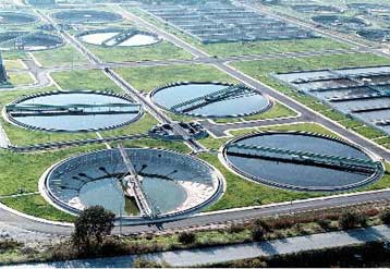 Φαρμακευτικές ουσίες στα αστικά λύματα συσσωρεύονται σε ψάρια