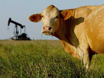 Επιβάρυνση του γάλακτος με κλοφέν διαπιστώνεται στις ελληνικές βιομηχανικές περιοχές