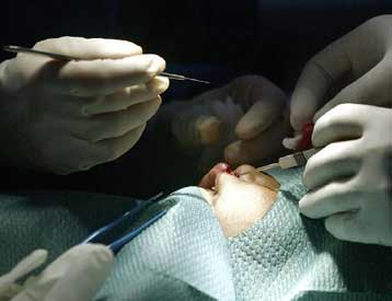 Ομάδες χειρουργών ετοιμάζονται για την πρώτη μεταμόσχευση προσώπου