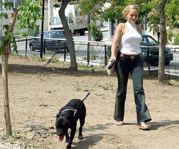 Σε εφαρμογή το ν/σ του υπουργείου Γεωργίας για τα αδέσποτα και τα κατοικίδια ζώα