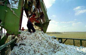 Τη διαχείριση των κοινοτικών επιδοτήσεων για το βαμβάκι επικρίνει η ΕΕ