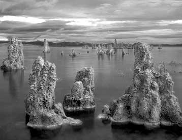 Μικρόβια που επιζούν σε ακραία αλκαλικό βούρκο εκπλήσσουν τους επιστήμονες