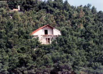 Διακομματικό το αίτημα για πάγωμα προστίμων σε δασικές αυθαιρεσίες, κατά τον Γ.Δρυ