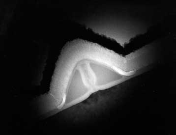 Η NEC κατασκευάζει το μικρότερο τρανζίστορ, η IBM τυπώνει κυκλώματα με στάμπες