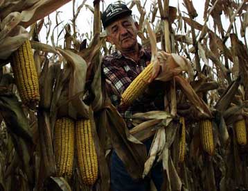 Αναβάλλεται η απόφαση της ΕΕ για το πρώτο γενετικά τροποποιημένο τρόφιμο