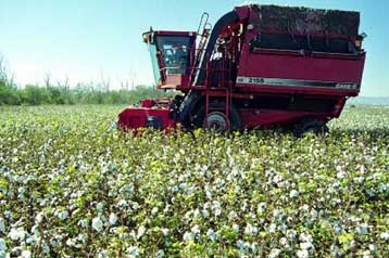 Μέχρι το τέλος του α΄εξαμήνου του 2004 η αναθεώρηση της ΚΑΠ για τα μεσογειακά προϊόντα